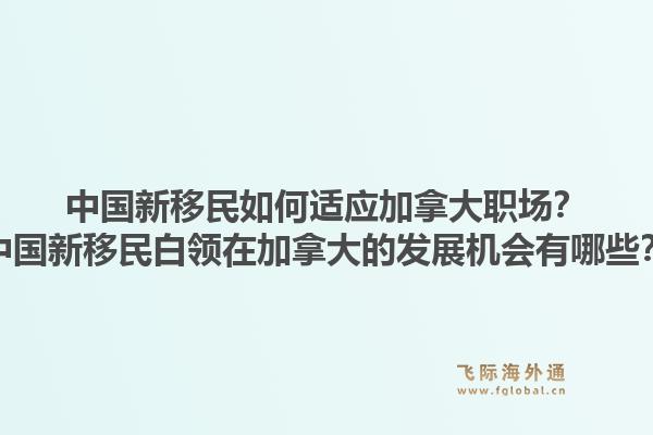 中國(guó)新移民如何適應(yīng)加拿大職場(chǎng)？中國(guó)新移民白領(lǐng)在加拿大的發(fā)展機(jī)會(huì)有哪些？1.jpg