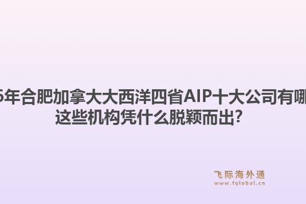 2026年合肥加拿大大西洋四省AIP十大公司有哪些？這些機(jī)構(gòu)憑什么脫穎而出？