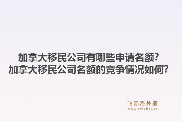 加拿大移民公司有哪些申請名額？加拿大移民公司名額的競爭情況如何？1.jpg