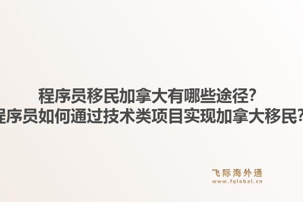 程序員移民加拿大有哪些途徑？程序員如何通過(guò)技術(shù)類項(xiàng)目實(shí)現(xiàn)加拿大移民？1.jpg