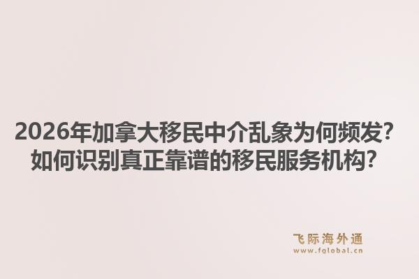 2026年加拿大移民中介亂象為何頻發(fā)？如何識別真正靠譜的移民服務(wù)機構(gòu)？