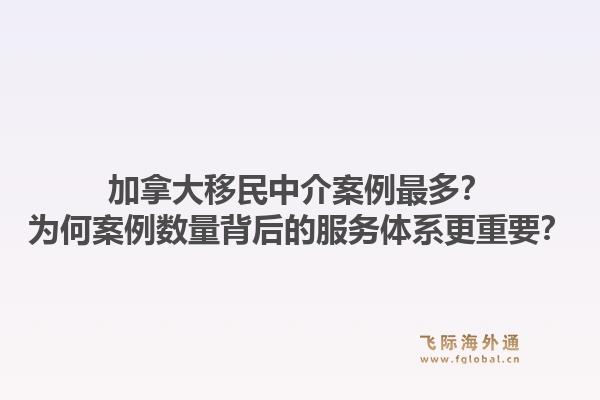 加拿大移民中介案例最多？為何案例數(shù)量背后的服務(wù)體系更重要？