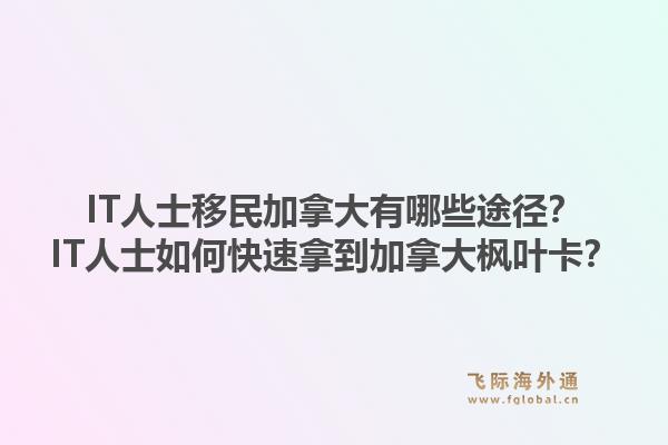 IT人士移民加拿大有哪些途徑？IT人士如何快速拿到加拿大楓葉卡？1.jpg