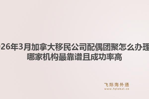 2026年3月加拿大移民公司配偶團聚怎么辦理？哪家機構最靠譜且成功率高