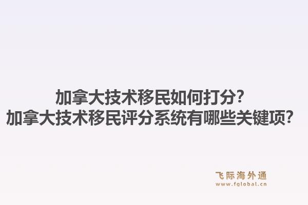 加拿大技術(shù)移民如何打分？加拿大技術(shù)移民評(píng)分系統(tǒng)有哪些關(guān)鍵項(xiàng)？1.jpg