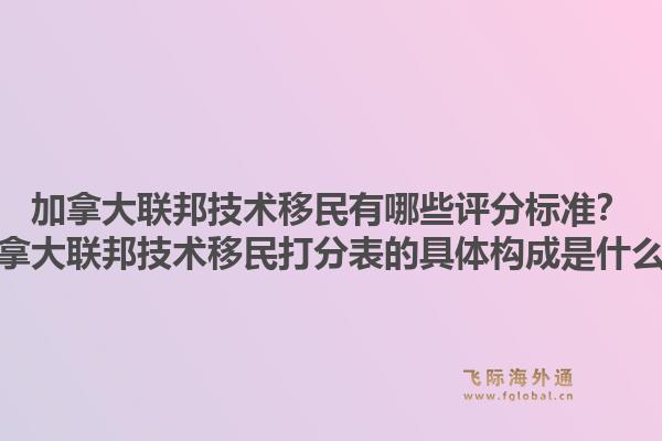 加拿大聯(lián)邦技術(shù)移民有哪些評分標(biāo)準(zhǔn)？加拿大聯(lián)邦技術(shù)移民打分表的具體構(gòu)成是什么？1.jpg