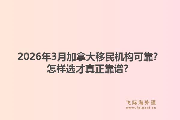 2026年3月加拿大移民機構(gòu)可靠？怎樣選才真正靠譜？