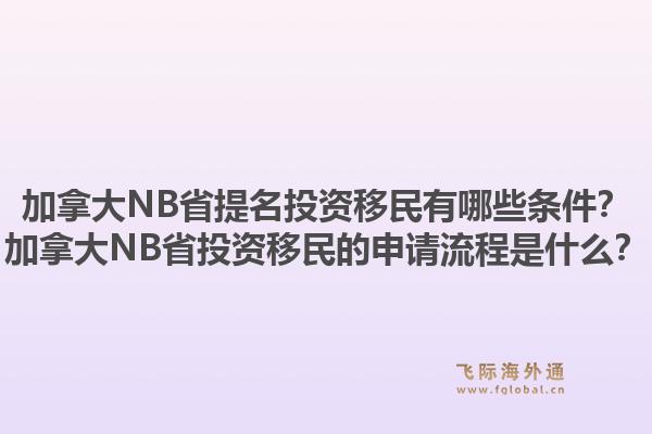 加拿大NB省提名投資移民有哪些條件？加拿大NB省投資移民的申請流程是什么？
